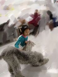 点击看大图 -INKIDS潮童社儿童摄影(朝阳大悦城店)