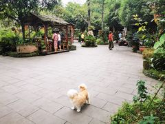 -青城甲(青城山店)