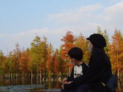 -白鹭湾湿地公园