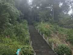 -铁山坪森林公园