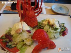 中纳言&nbsp;(5)-活伊势龙虾料理 中纳言(千日前味乐馆店)