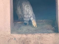 -青藏高原野生动物园