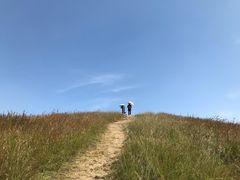 -恋山坝上草原