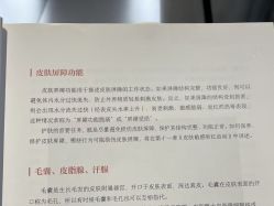 -春田皮肤管理中心品牌旗舰店