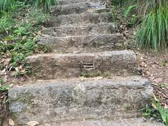 -青龙山国家森林公园