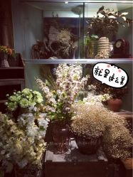 -日光视觉婚纱摄影(旗舰店)