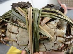 -思源鱼庄
