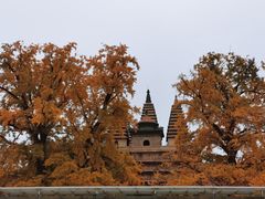 -北京石刻艺术博物馆(五塔寺)