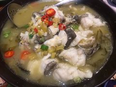 传统特色酸菜海青斑-君悦酒店·1881·北京烤鸭