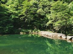 -白云源风景区