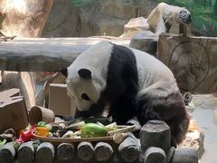 -灵玲国际马戏城