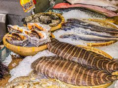 -渔娘渔家丹东海鲜(东直门店)