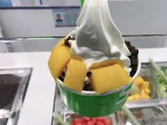 -Salud撒露欧洲冻酸奶(五道口购物中心店)