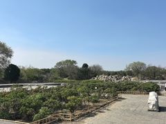 -新疆大厦·慕士塔格餐厅