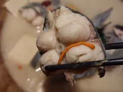 -滇小鱼·云南野生菌火锅(上杭路店)