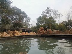-山湖温泉
