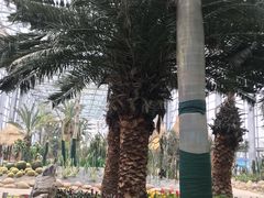 -祥源·阜阳生态乐园