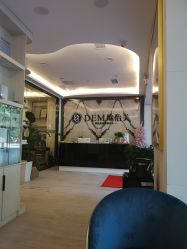 -DEM缔怡美科技美容