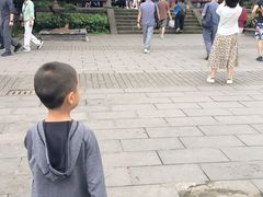 -凤栖山