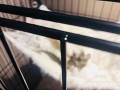 -津菜宋记老房子(鼓楼店)