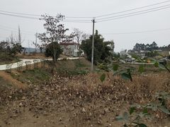 -都江堰玫瑰花溪谷