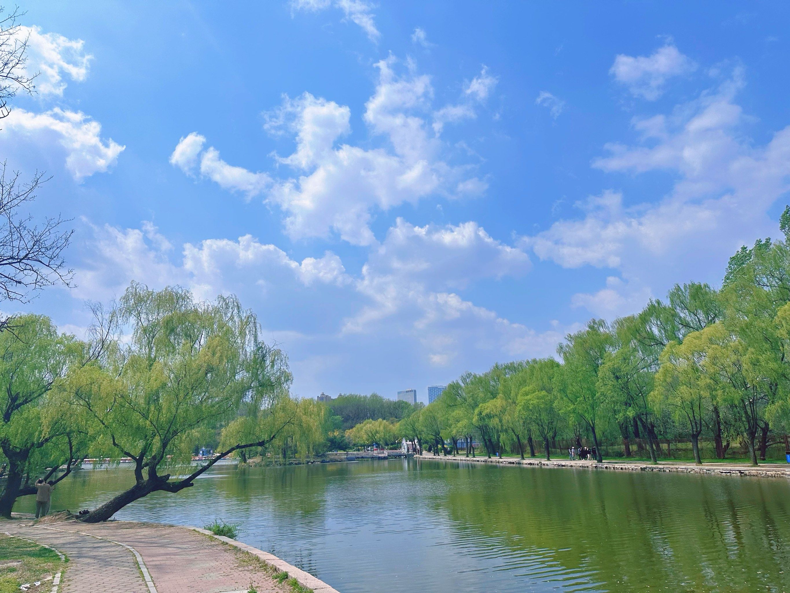 鞍山公园图鉴|二一九公园