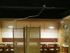 -柴务处·柴犬主题狗咖