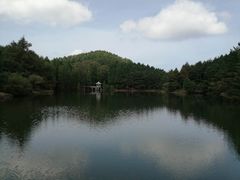-四明山国家森林公园