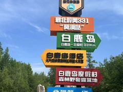-莫尔道嘎国家森林公园
