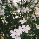 待到山花烂漫时，她在丛中笑。