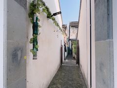 -青果巷历史文化街区