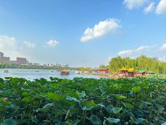 -济南大明湖景区
