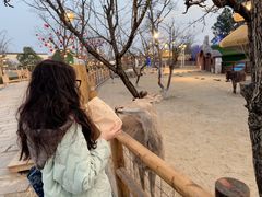 -茅山东方盐湖城景区