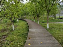 -高义口(地铁站)
