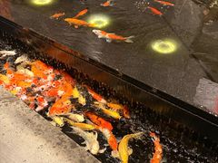 -弘安丽水温泉酒店