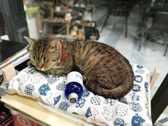 -旧屋咖啡(海景店)