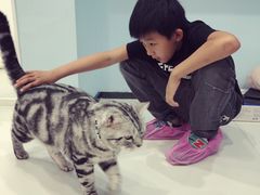 -糯米喵星人·撸猫猫舍咖啡馆(西市场嘉华店)