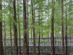 -福道