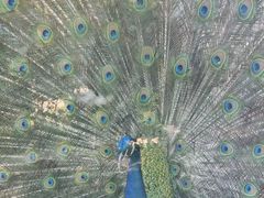 -南戴河国际娱乐中心