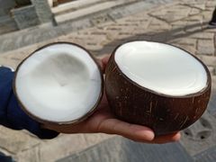 -志龙皇冠吃货椰子铺