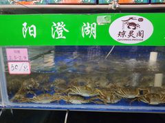 -阳澄湖大闸蟹·琼灵阁牌品牌连锁(吴中总店)