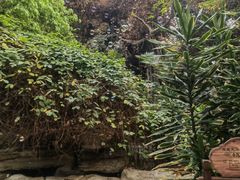 -龙达温泉生态城