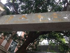 -香港大学