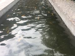 -北京水岸山吧度假村(雁栖镇店)