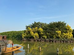 -大湾区中央湿地公园