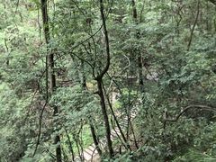 -苍龙峡风景区
