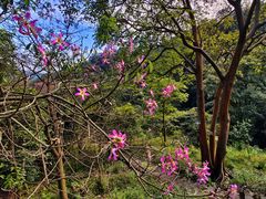 -飞霞风景名胜区