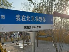 -1982农场