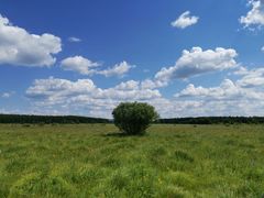 -塞罕坝国家级自然保护区