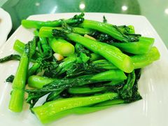 鸡油炒菜心-文记壹心鸡(宝华路店)